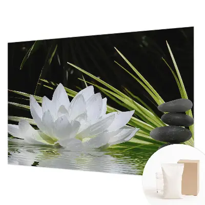 Vlies-Fototapete nach Maß mit dem Motiv „Lilienmeditation”