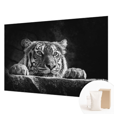 Motivtapete Raubtierblick