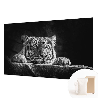 Motivtapete Raubtierblick