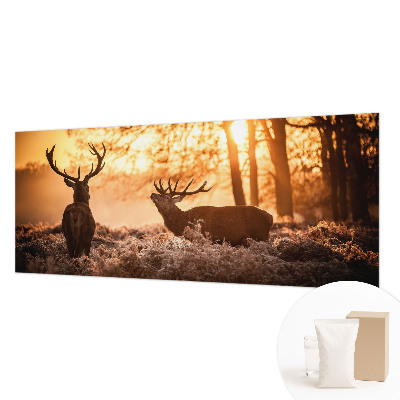 Fototapete nach Maß Rehe am Morgen