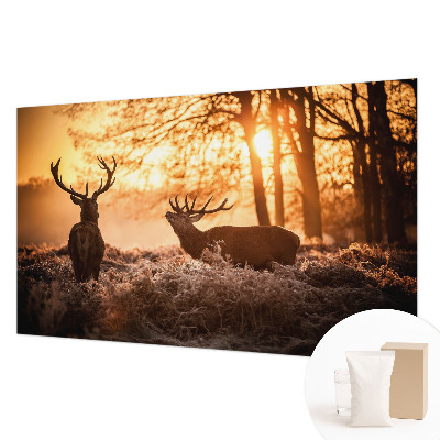 Fototapete nach Maß Rehe am Morgen