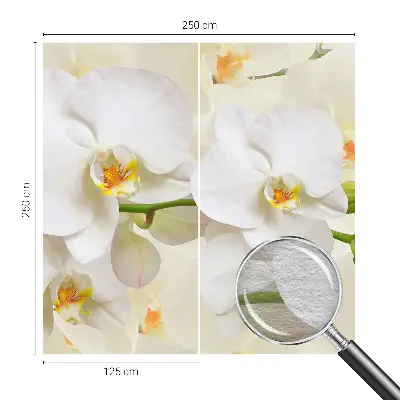 Fototapete aus Vlies mit floralem Motiv