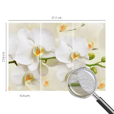 Fototapete aus Vlies mit floralem Motiv
