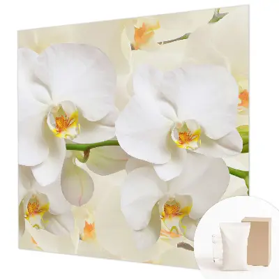 Fototapete aus Vlies mit floralem Motiv
