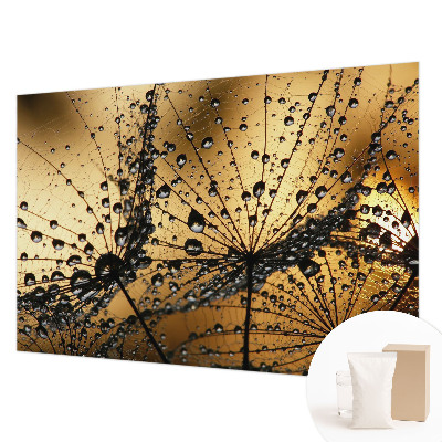 Vlies-Fototapete nach Maß Zarte Tropfen