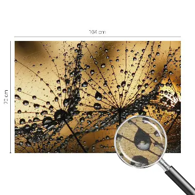 Vlies-Fototapete nach Maß mit dem Motiv „Zarte Tropfen“
