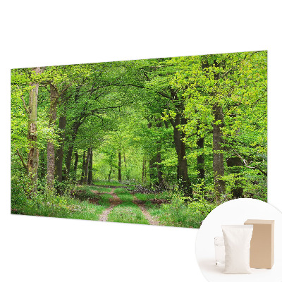 Moderne Vlies-Fototapete Waldweg