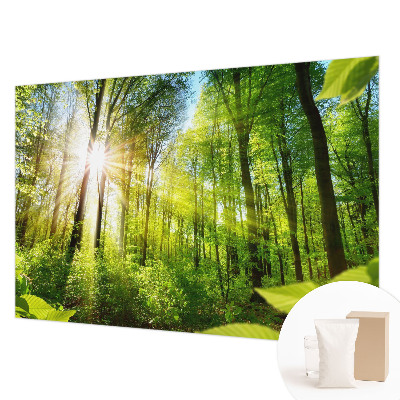 Motivtape­te mit Waldlicht-Motiv