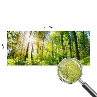 Motivtapete Waldlicht