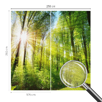 Motivtape­te mit Waldlicht-Motiv
