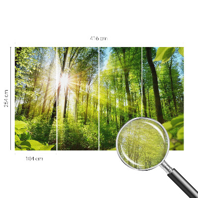 Motivtape­te mit Waldlicht-Motiv