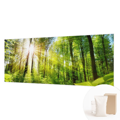Motivtape­te mit Waldlicht-Motiv