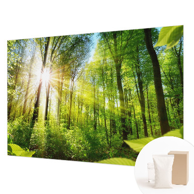 Motivtape­te mit Waldlicht-Motiv