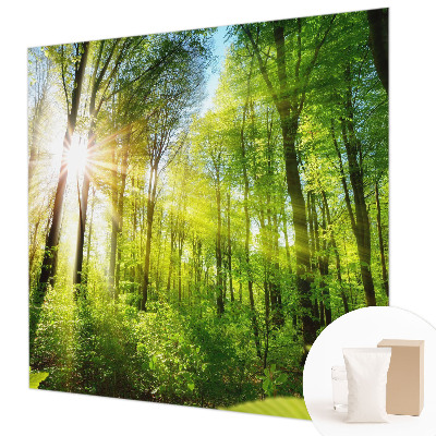 Motivtape­te mit Waldlicht-Motiv
