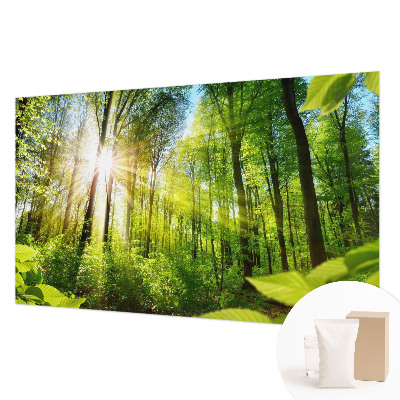 Motivtape­te mit Waldlicht-Motiv