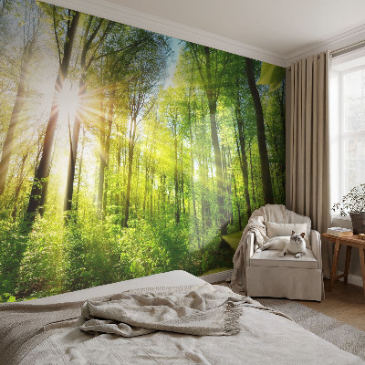 Motivtape­te mit Waldlicht-Motiv