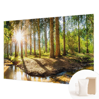 Wand-Fototapete mit einer idyllischen Waldszene