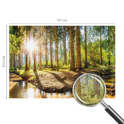 Wand-Fototapete mit einer idyllischen Waldszene