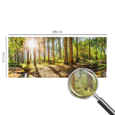 Wand-Fototapete mit einer idyllischen Waldszene