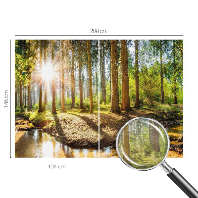 Wand-Fototapete mit einer idyllischen Waldszene