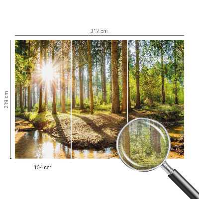 Wand-Fototapete mit einer idyllischen Waldszene