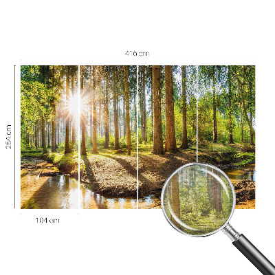 Wand-Fototapete mit einer idyllischen Waldszene