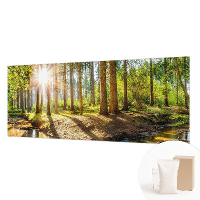 Wand-Fototapete Waldidylle