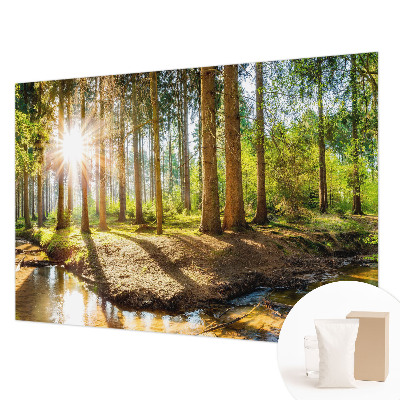 Wand-Fototapete mit einer idyllischen Waldszene