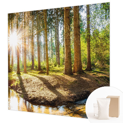 Wand-Fototapete mit einer idyllischen Waldszene