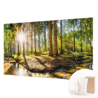 Wand-Fototapete Waldidylle