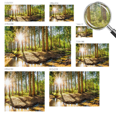 Wand-Fototapete mit einer idyllischen Waldszene