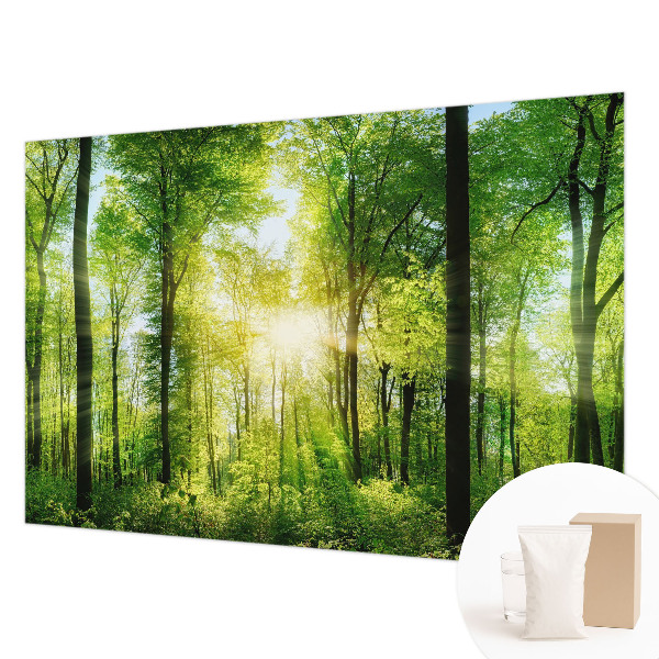 Fototapete Harmonie des Waldes