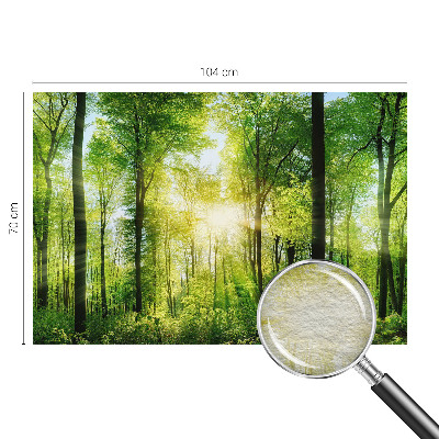 Fototapete mit dem Motiv „Harmonie des Waldes”
