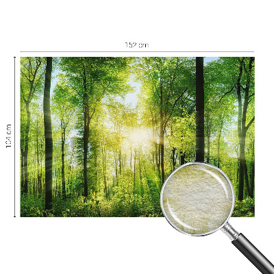 Fototapete mit dem Motiv „Harmonie des Waldes”