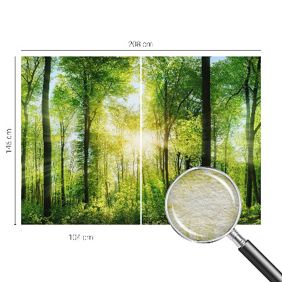 Fototapete mit dem Motiv „Harmonie des Waldes”