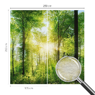 Fototapete Harmonie des Waldes