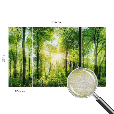 Fototapete mit dem Motiv „Harmonie des Waldes”