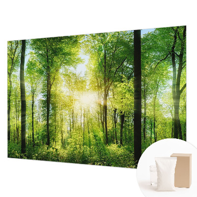 Fototapete Harmonie des Waldes