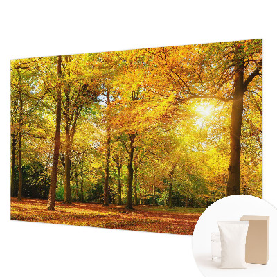 Vlies-Fototapete mit goldenem Blattmotiv