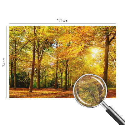 Vlies-Fototapete mit goldenem Blattmotiv