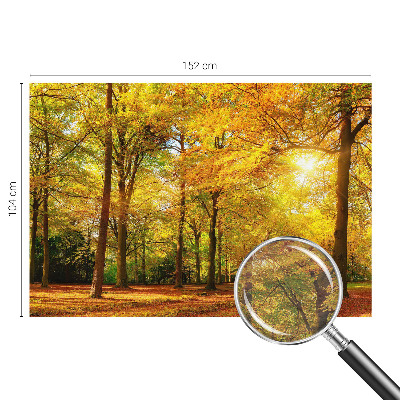 Vlies-Fototapete mit goldenem Blattmotiv