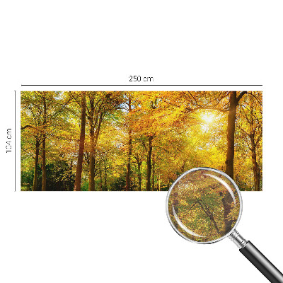 Vlies-Fototapete mit goldenem Blattmotiv