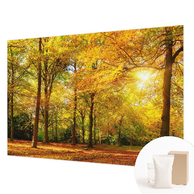 Vlies-Fototapete mit goldenem Blattmotiv