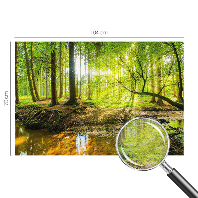 Fototapete fürs Schlafzimmer Grüne Landschaft