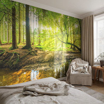 Fototapete fürs Schlafzimmer Grüne Landschaft