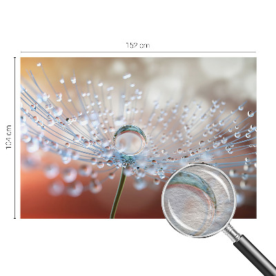 Motivtapete Ein Tropfen auf einem Löwenzahn