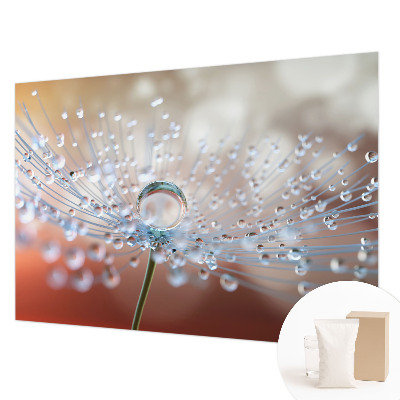 Motivtapete Ein Tropfen auf einem Löwenzahn