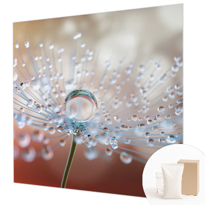 Motivtapete Ein Tropfen auf einem Löwenzahn