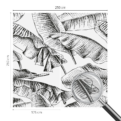 Fototapete fürs Schlafzimmer Bananenblätter