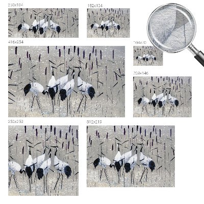 Fototapete aus Vlies mit harmonischem Kranich-Motiv